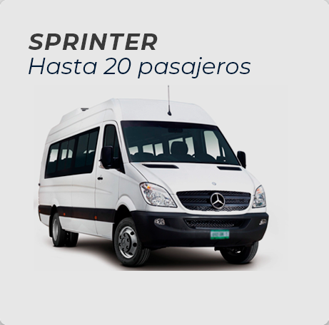 sprinter